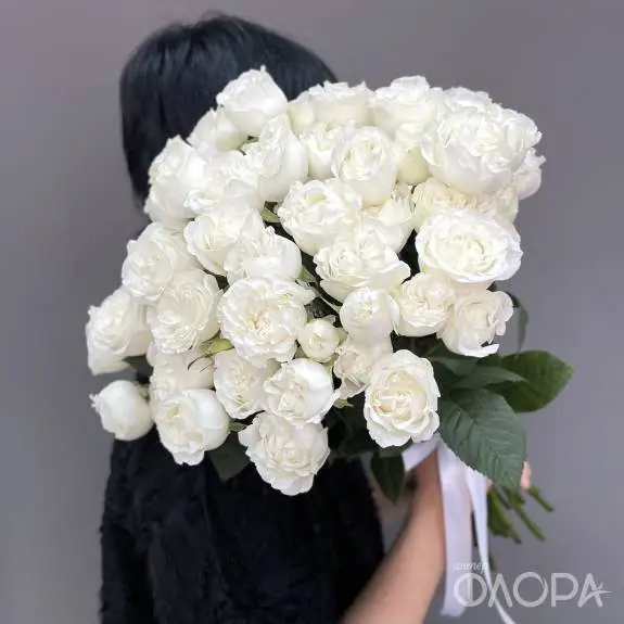Пионовидные кустовые розы "Дример" 60 см