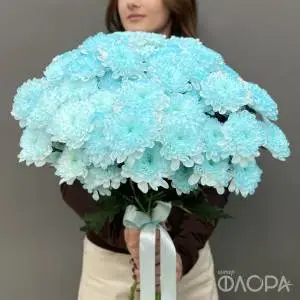 Мятные кустовые хризантемы