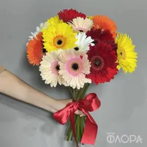 Разноцветные герберы (Россия)