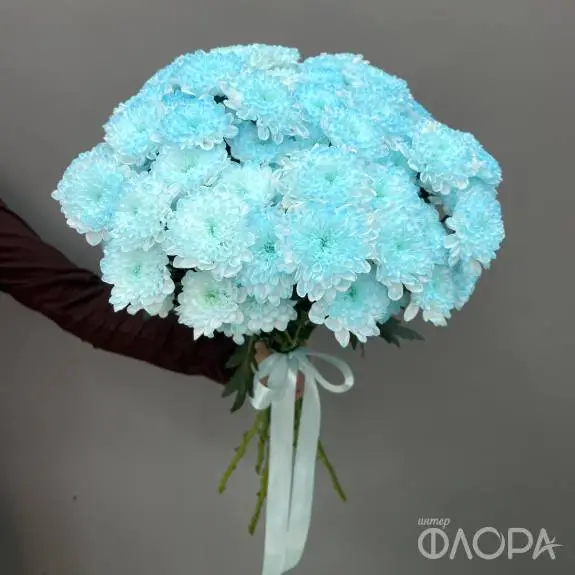 Мятные кустовые хризантемы