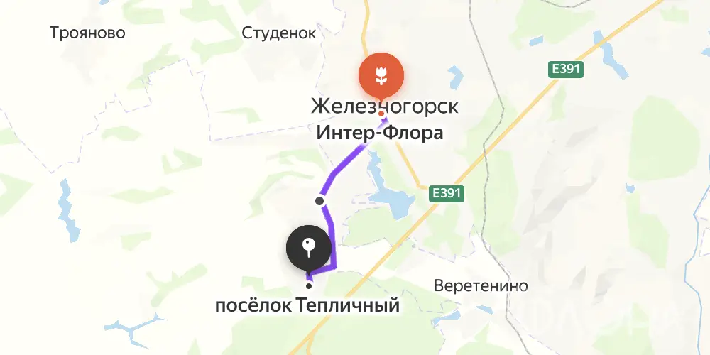 Доставка цветов в Тепличном Курской области