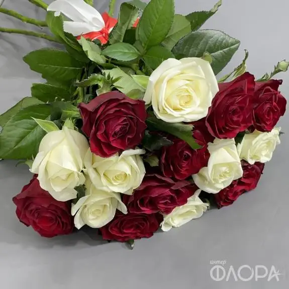 Красные и белые розы, Россия 60 см