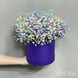 Букет "Радужная гипсофила" в коробке