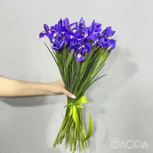 Ирисы "Блу Мэджик"