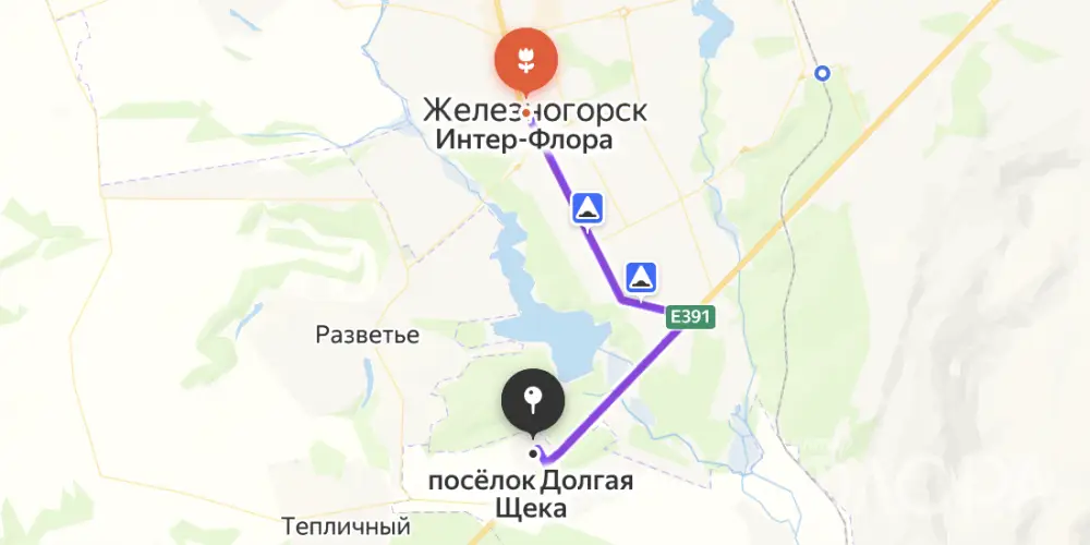 Доставка цветов в Долгой щеке Курской области