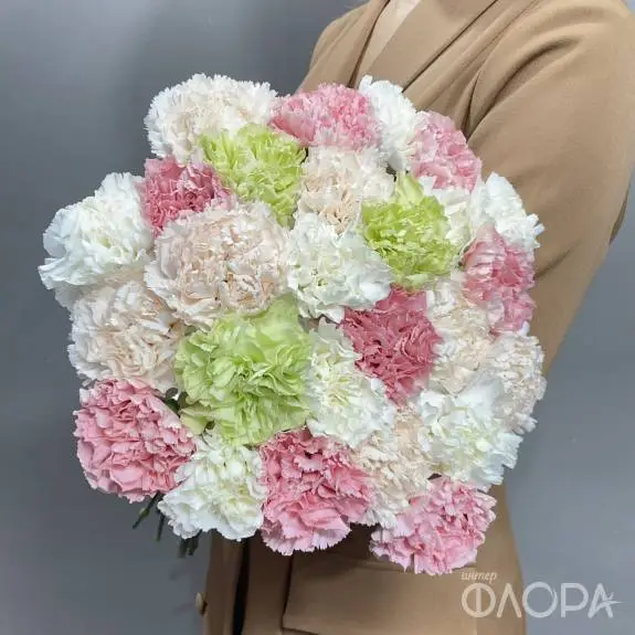 Разноцветные гвоздики