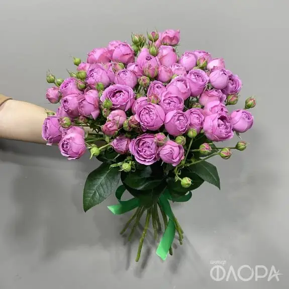 Пионовидные розы "Мисти Бабблз" 60 см