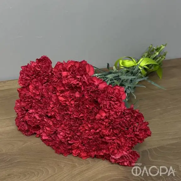 Красные гвоздики