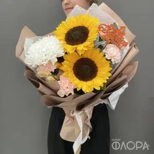 Солнце знаний 