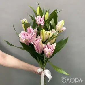 Розовые пионовидные лилии