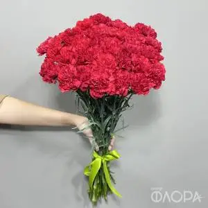 Красные гвоздики