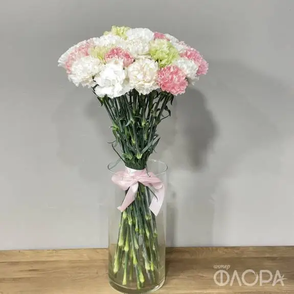 Разноцветные гвоздики