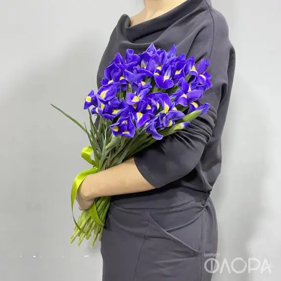 Ирисы "Блу Мэджик"