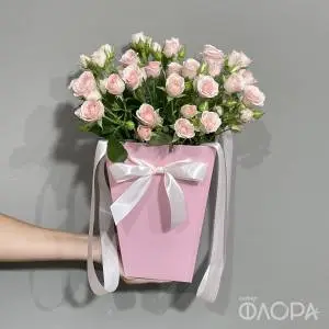 Нежные розы в плайм-пакете