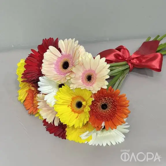 Разноцветные герберы (Россия)