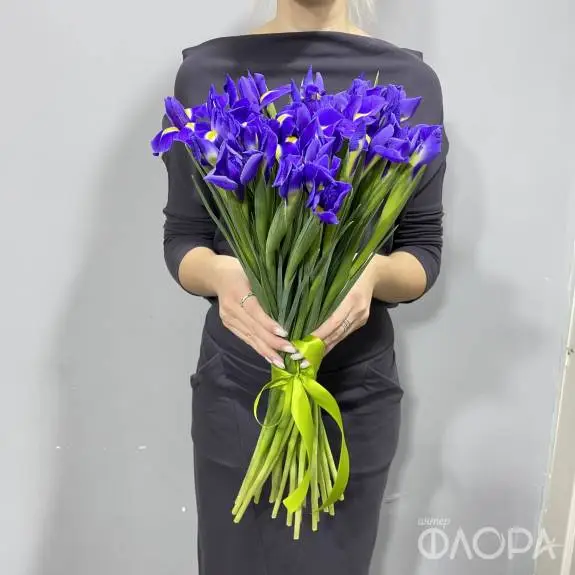 Ирисы "Блу Мэджик"