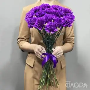 Лунные гвоздики "Мун"