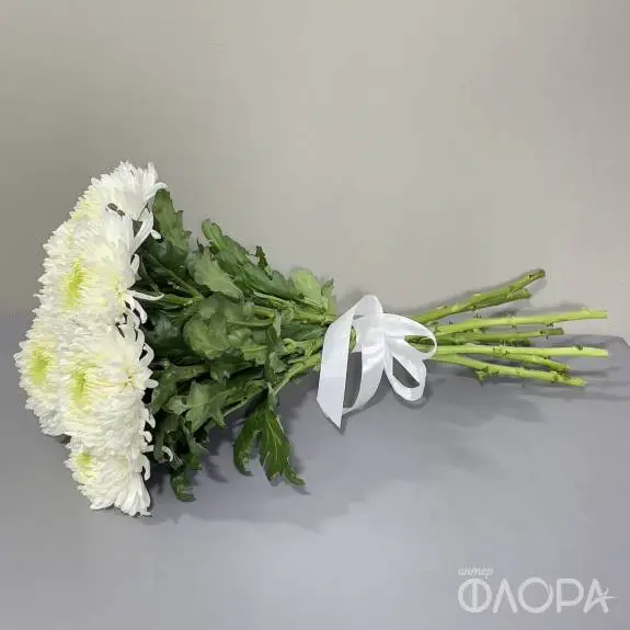 Одноголовые хризантемы "Магнум"