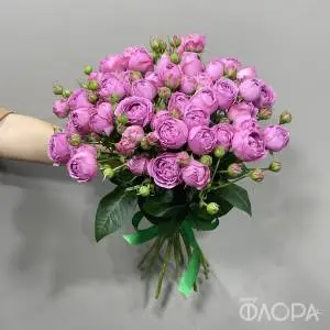 Пионовидные розы "Мисти Бабблз" 60 см