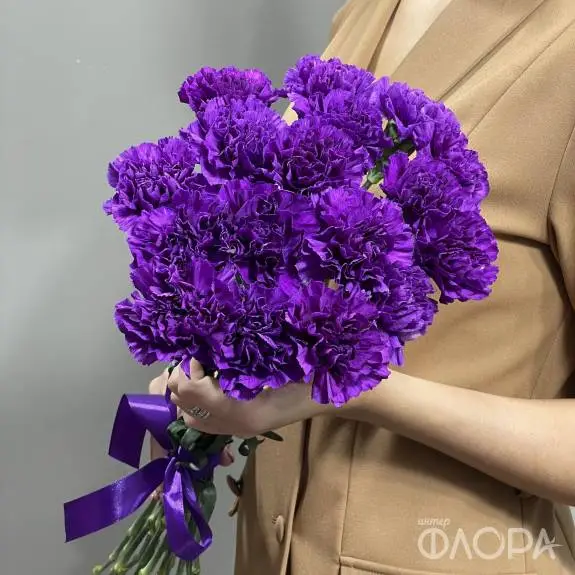 Лунные гвоздики "Мун"