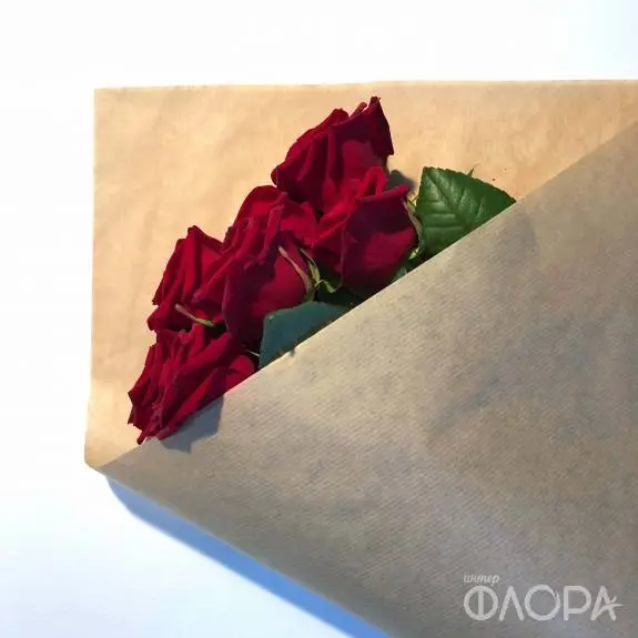 Крафт