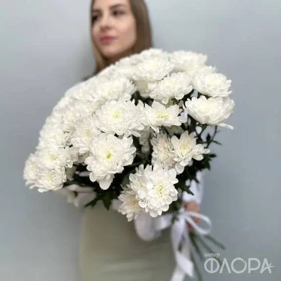Белые кустовые хризантемы "Алтай"