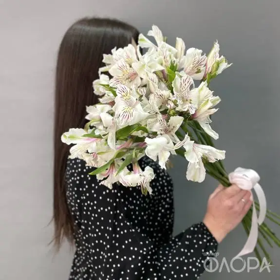 Белые альстромерии