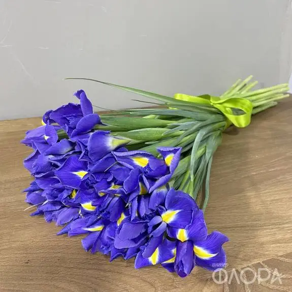 Ирисы "Блу Мэджик"