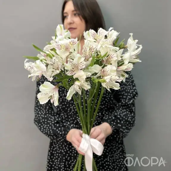 Белые альстромерии