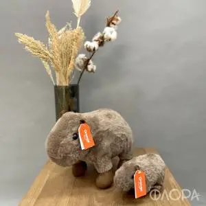Капибара