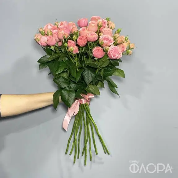 Пионовидные кустовые розы "Спешл Деменшион", 60 см