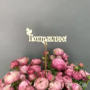 Поздравляю